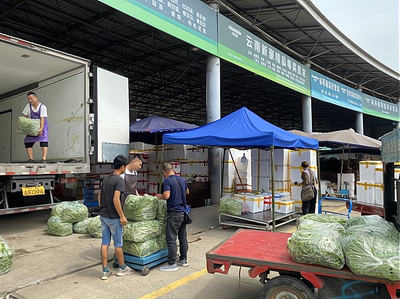 走进雷州蔬菜批发市场,发现生财之道!